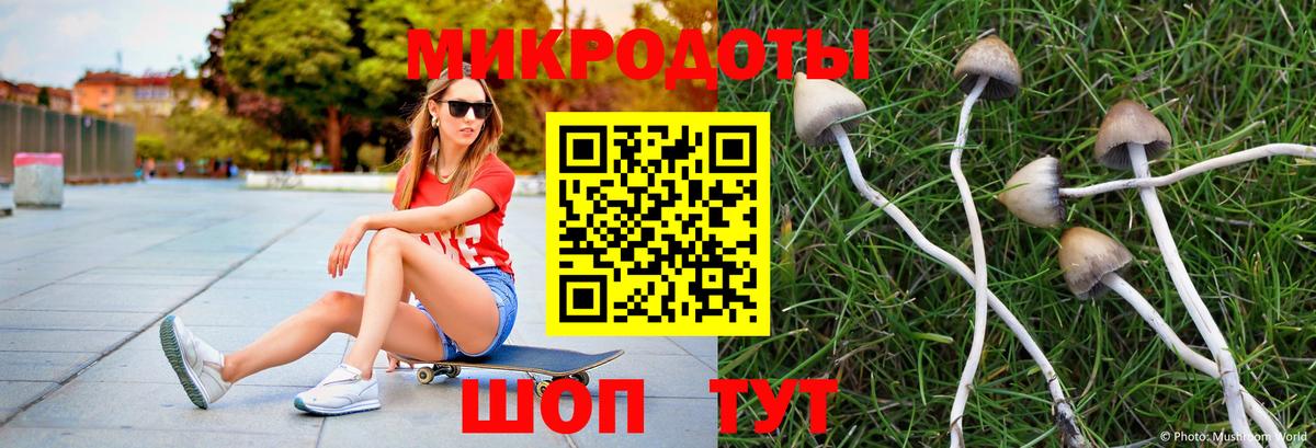 Галлюциногенные грибы прущие грибы  Вход с VPN  купить закладку  Асбест 